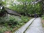 Partiti dal ponte sul torrente Melezzo (mt.677 località Coimo) saliamo agli alpeggi oltre la piccola stazione di Coimo